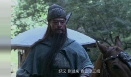 关公在线观看,在线重温忠义千秋