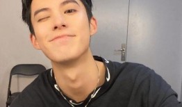 新瓜最新爆料王鹤棣视频,揭秘背后惊人真相！