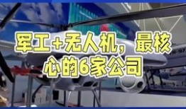 新疆热点爆料新闻最新版,聚焦最新动态，揭秘幕后真相