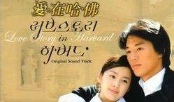 韩剧爱在哈佛在线观看