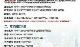 湖北医院最新爆料公告,揭秘医疗行业背后真相