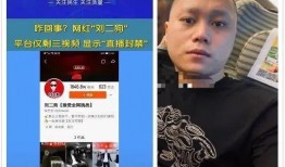 李四爆料刘二狗视频播放,李四揭露刘二狗视频播放背后的惊人真相