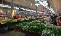 长春菜市场爆料视频最新,探寻市井烟火气中的生活百态