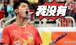 爆料张继科视频最新,揭秘背后真相与争议