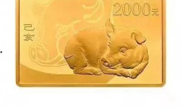 毒硬币今日爆料视频大全,揭秘热门视频背后的真相与内幕