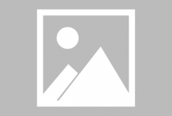 荒野乱斗中秋爆料最新版