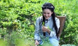 电视剧忍冬艳蔷薇在线观看