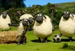 小羊爆料最新视频下载,精彩瞬间不容错过！