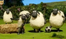 小羊爆料最新视频下载,精彩瞬间不容错过！