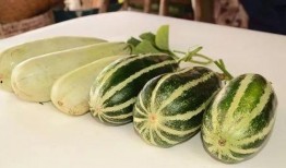 网红有瓜吃,有瓜吃的背后故事