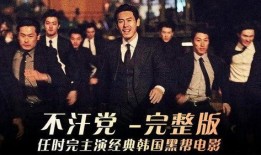 不汗党韩剧在线观看,韩剧在线观看，揭秘神秘组织背后的惊心动魄