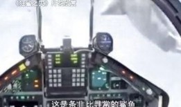 黑水狂鲨在线观看,深海惊魂，生死搏斗