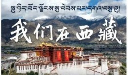 四川人生活杂志爆料视频,杂志爆料视频带你领略巴蜀风情