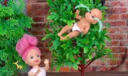 树婴 在线观看,穿越时空的奇幻之旅在线观看指南