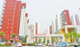 开封小薇最新爆料,最新爆料背后的惊人真相