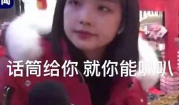 天涯爆料王冰冰视频合集