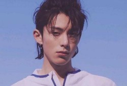 新瓜最新爆料王鹤棣视频,揭秘背后惊人真相！