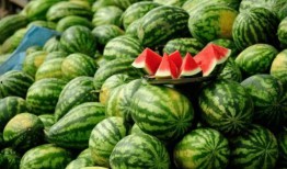 网红有瓜吃,有瓜吃的背后故事