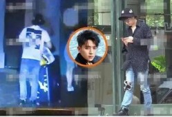 娄艺潇最新爆料,娱乐圈背后的惊人真相