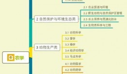 老徐爆料楼盘视频大全集,楼盘视频大全集深度解析