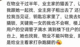 免费吃瓜大全qq群,揭秘网络社交新潮流