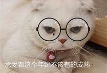 刘二豆与娱乐吃瓜君,揭秘娱乐圈背后的故事