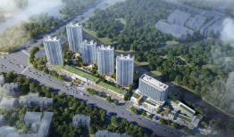 老徐爆料楼盘视频大全集,楼盘视频大全集深度解析