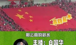 大雷爆料男足视频回放,男足视频回放背后的真相与争议