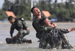 中国特种兵爆料视频播放,实战训练与使命担当