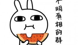 微信吃瓜聊免费能进吗,揭秘神秘入口，畅享免费交流盛宴