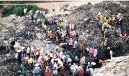 官方打击爆料新闻,守护网络清朗空间