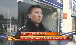 上蔡一中爆料案件真相视频,还原事件始末