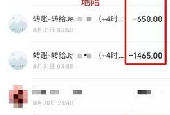实名爆料视频大全最新版,揭秘热点事件背后的真相