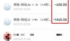 实名爆料视频大全最新版,揭秘热点事件背后的真相