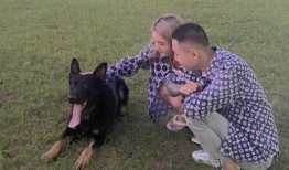 高迪媳妇被爆料视频播放,揭秘背后真相与网络舆论