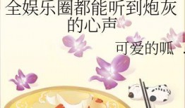 娱乐圈吃瓜情报小说,揭秘明星背后的秘密与恩怨情仇