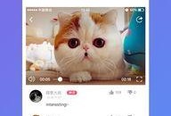在线短片手机观看,在线短片手机观看体验解析