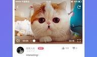 在线短片手机观看,在线短片手机观看体验解析