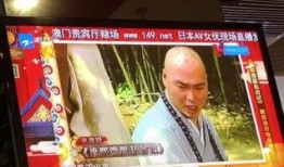 日本黄片视频在线观看,在线观看黄片视频的真相与风险