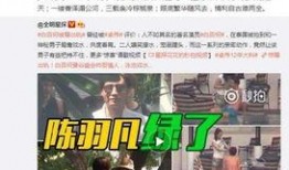 出轨最新爆料新闻视频,最新爆料视频揭露惊人真相