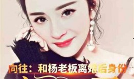 娱乐圈吃瓜情报小说,揭秘明星背后的秘密与恩怨情仇
