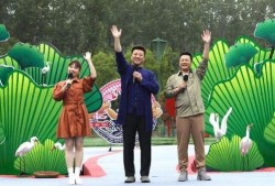 七彩星城爆料视频最新下载,揭秘最新下载背后的精彩瞬间